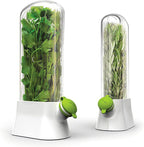 Herb and Vegetable Fresh-Keeping Box Anti-Pressure Eco-Friendly Fresh-Keeping Container Creative Cilantro Fresh-Keeping Cup