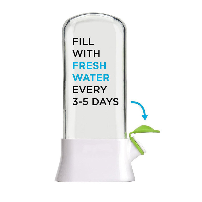 Herb and Vegetable Fresh-Keeping Box Anti-Pressure Eco-Friendly Fresh-Keeping Container Creative Cilantro Fresh-Keeping Cup