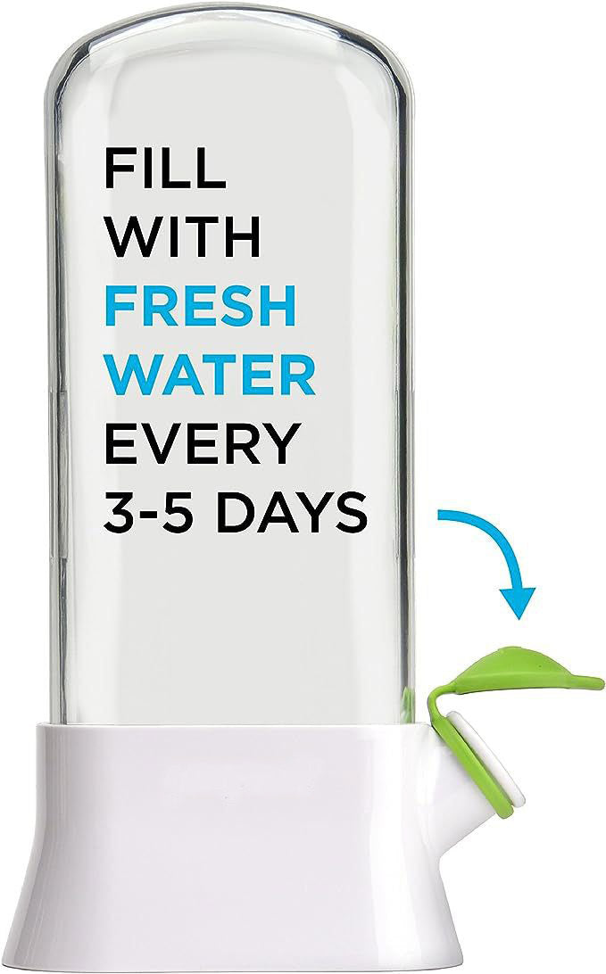 Herb and Vegetable Fresh-Keeping Box Anti-Pressure Eco-Friendly Fresh-Keeping Container Creative Cilantro Fresh-Keeping Cup