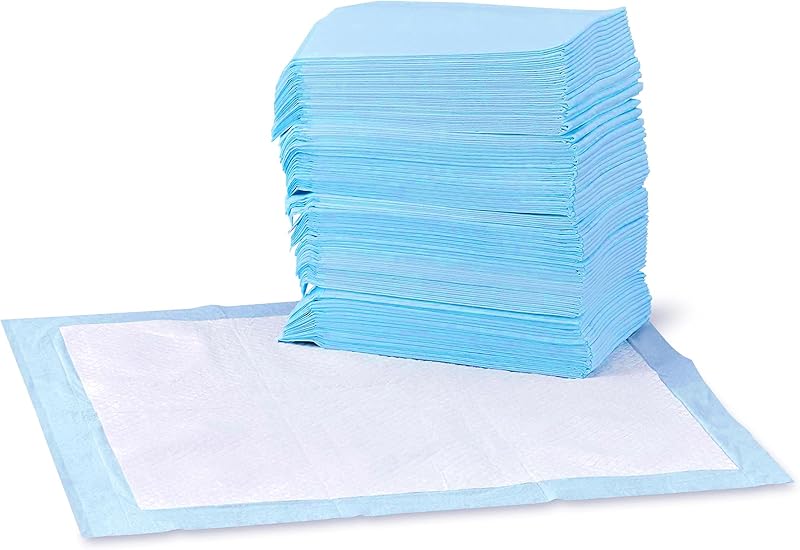 Basics Dog and Puppy Pee Pads, 5-Layer Leak-Proof Super Absorbent, Quick-Dry Surface, Potty Training, Regular (22x22"), 150 Count, Blue & White