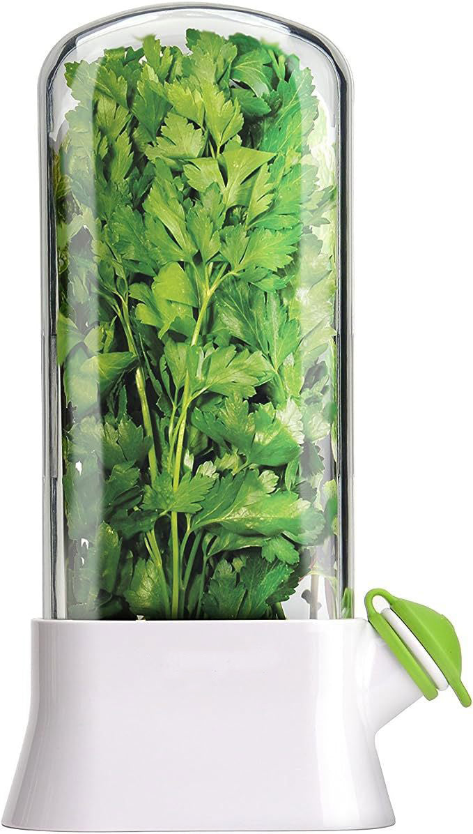 Herb and Vegetable Fresh-Keeping Box Anti-Pressure Eco-Friendly Fresh-Keeping Container Creative Cilantro Fresh-Keeping Cup