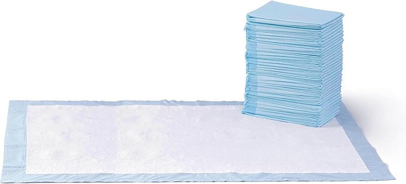 Basics Dog and Puppy Pee Pads, 5-Layer Leak-Proof Super Absorbent, Quick-Dry Surface, Potty Training, Regular (22x22"), 150 Count, Blue & White