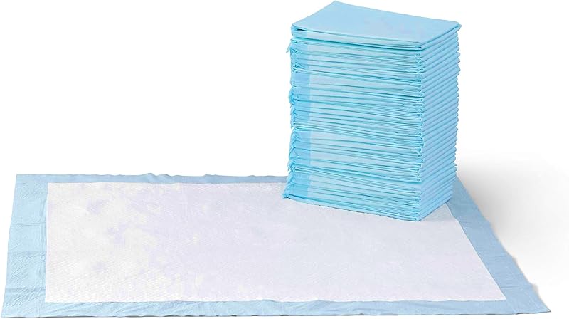 Basics Dog and Puppy Pee Pads, 5-Layer Leak-Proof Super Absorbent, Quick-Dry Surface, Potty Training, Regular (22x22"), 150 Count, Blue & White