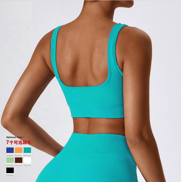 Premium Seamless Ribbed Sports Bralette