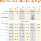 Basics Dog and Puppy Pee Pads, 5-Layer Leak-Proof Super Absorbent, Quick-Dry Surface, Potty Training, Regular (22x22"), 150 Count, Blue & White