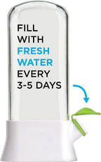 Herb and Vegetable Fresh-Keeping Box Anti-Pressure Eco-Friendly Fresh-Keeping Container Creative Cilantro Fresh-Keeping Cup