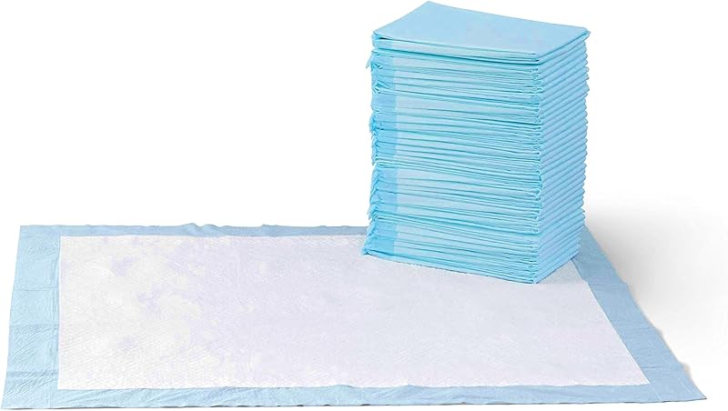 Basics Dog and Puppy Pee Pads, 5-Layer Leak-Proof Super Absorbent, Quick-Dry Surface, Potty Training, Regular (22x22"), 150 Count, Blue & White