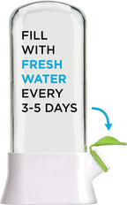 Herb and Vegetable Fresh-Keeping Box Anti-Pressure Eco-Friendly Fresh-Keeping Container Creative Cilantro Fresh-Keeping Cup