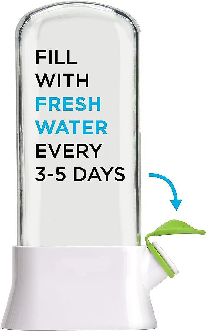 Herb and Vegetable Fresh-Keeping Box Anti-Pressure Eco-Friendly Fresh-Keeping Container Creative Cilantro Fresh-Keeping Cup