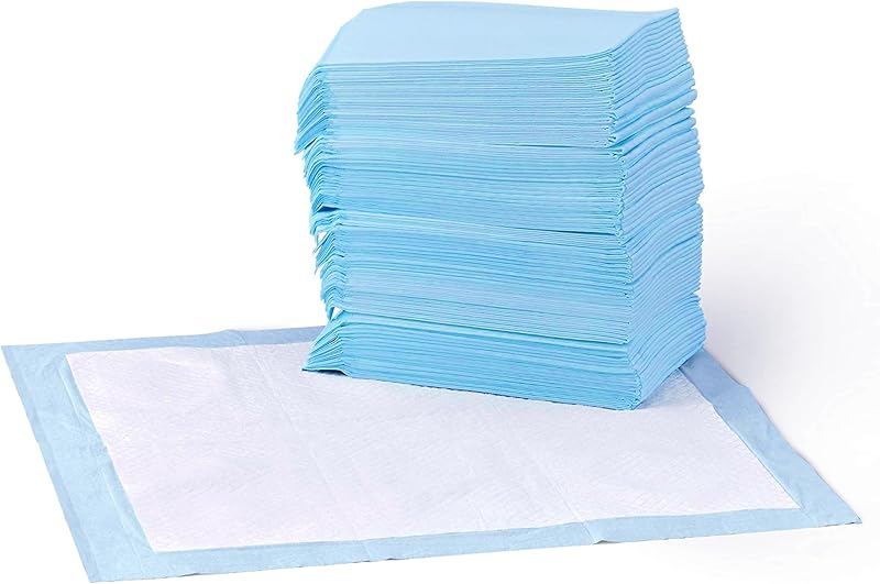 Basics Dog and Puppy Pee Pads, 5-Layer Leak-Proof Super Absorbent, Quick-Dry Surface, Potty Training, Regular (22x22"), 150 Count, Blue & White